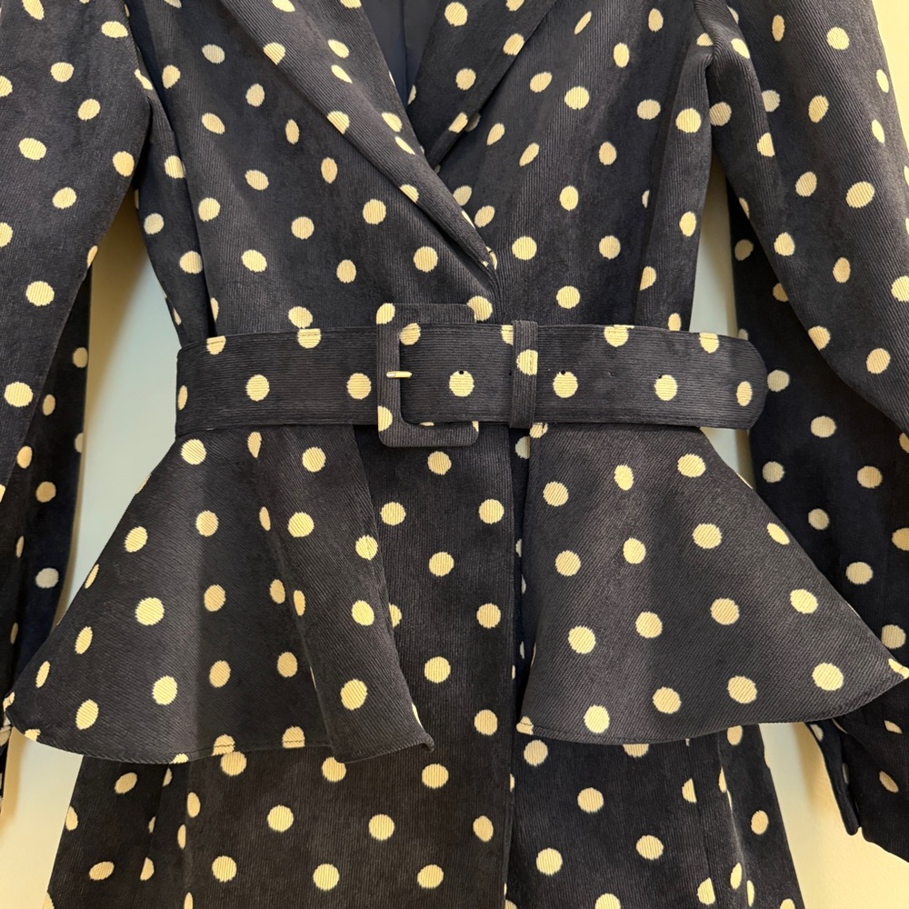 White and Blue Polka Dot Blazer with Puff Sleeves - Picture 13 of 14